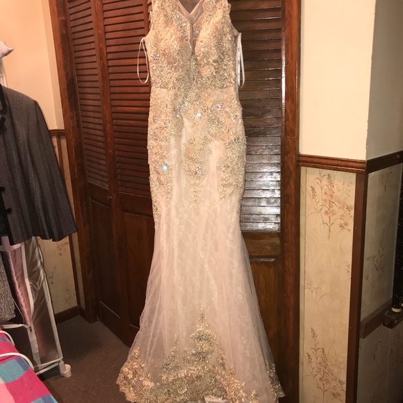 Prom/Pageant/ Ball Dress - Picture 3 of 5